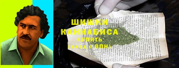 сатива Анива