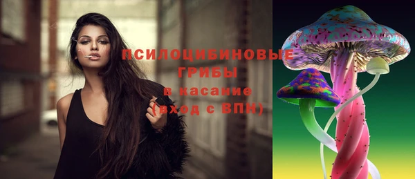 мет Медвежьегорск