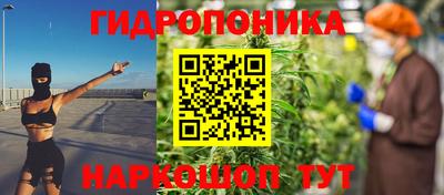 соль ск Дубна