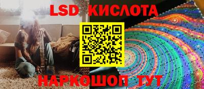 СК Донской