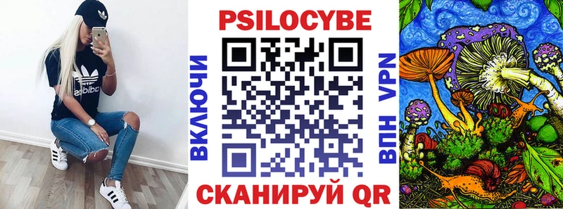 Галлюциногенные грибы Cubensis купить наркотик площадка телеграм Карачаевск