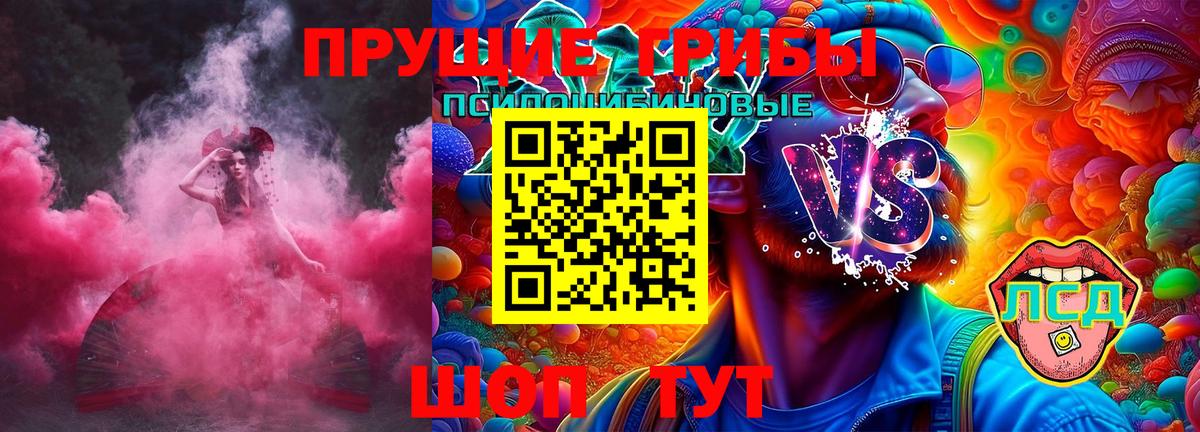 Галлюциногенные грибы MAGIC MUSHROOMS  Вход с VPN  Карачаевск 