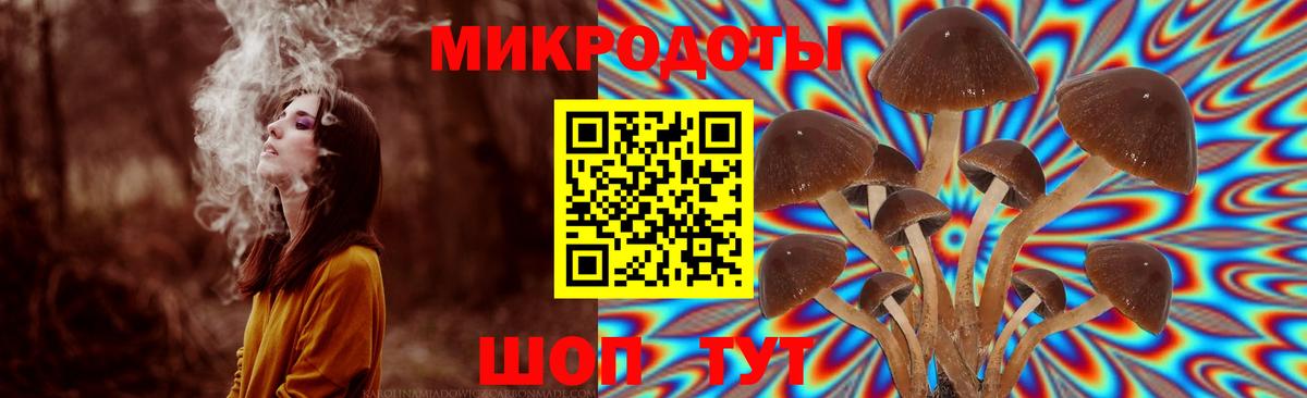Псилоцибиновые грибы ЛСД Карачаевск